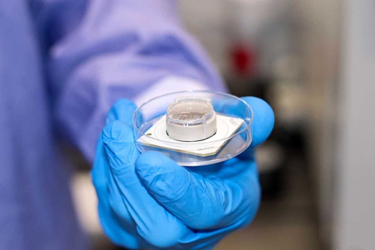 W środku tego chipa zamknięto 800 000 ludzkich i mysich komórek mózgowych.