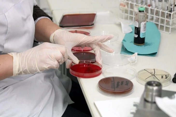 Jeśli firma OncoArendi wynajdzie za publiczne środki lek na rzadką chorobę, to będzie mogła sprzedać go poza granicami Polski.