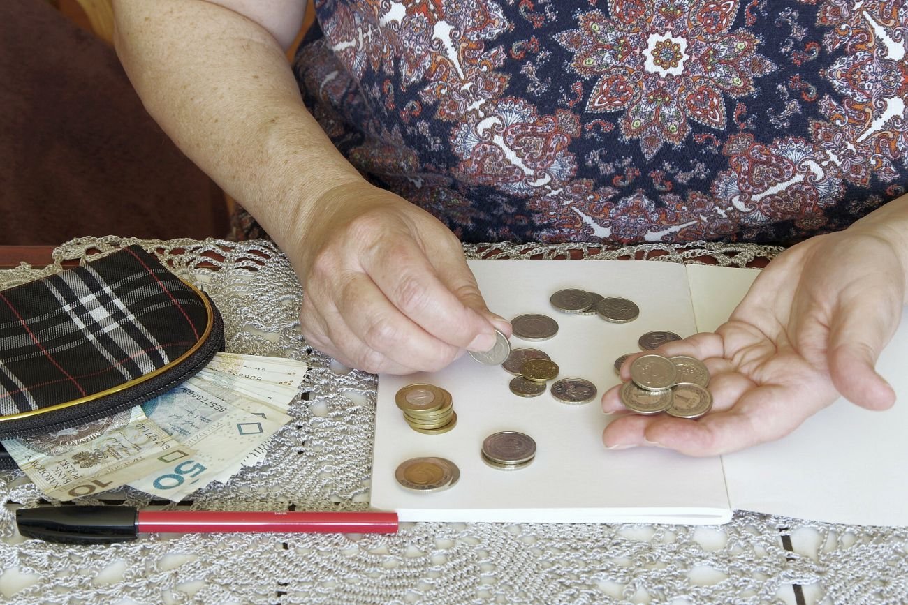 Grupa ekonomistów ma nowy pomysł na OFE i emerytury