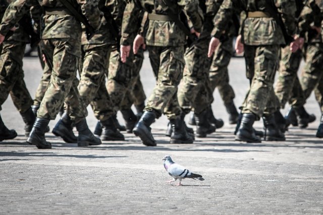 Braki w umundurowaniu polskiej armii są tak duże, że część żołnierzy kupuje sobie służbowe ubrania na Allegro