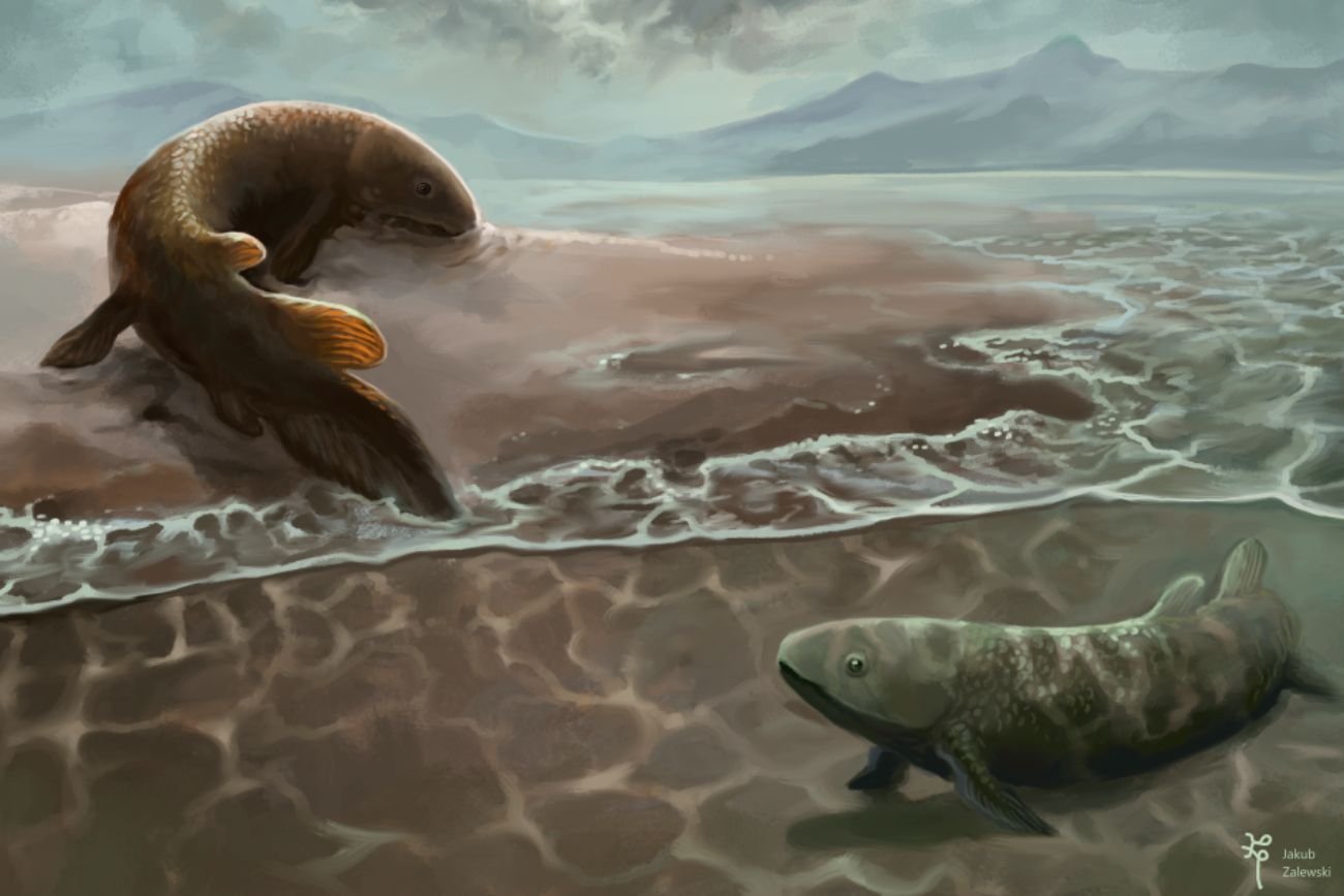 Życie wyszło na ląd w… Polsce? To najstarsze takie ślady w historii