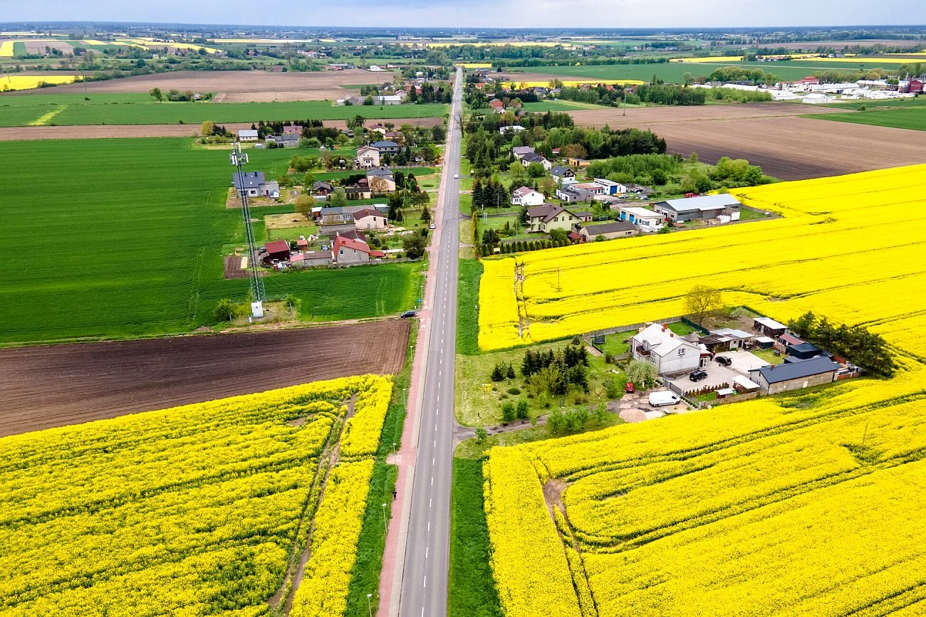 Baranów - tu wedle założeń rządu PiS ma powstać megalotnisko