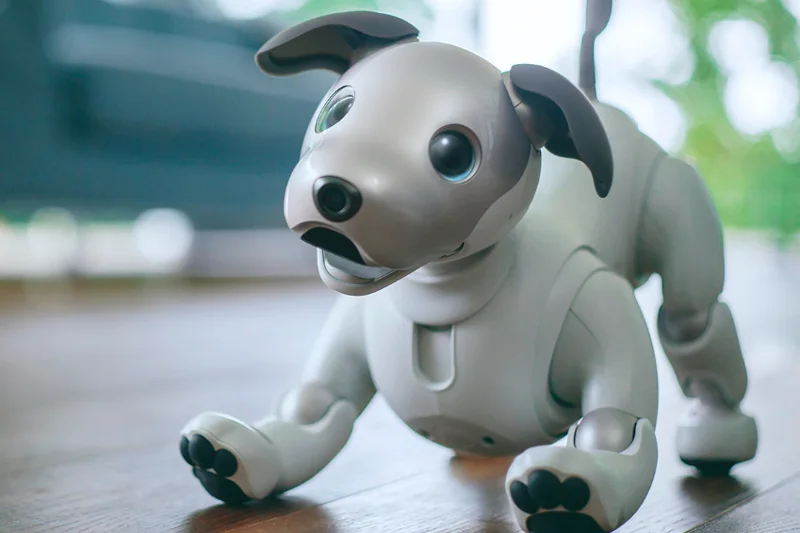 Aibo to inteligentny robot-pies, który na bieżąco uczy się nowych zachowań
