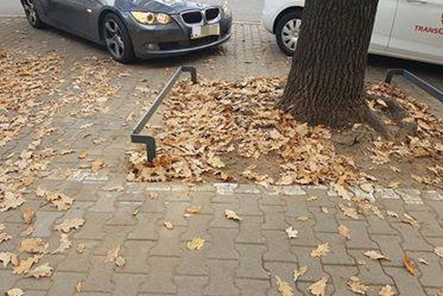 Niskie metalowe barierki mają blokować auta przed rozjeżdżaniem zieleni