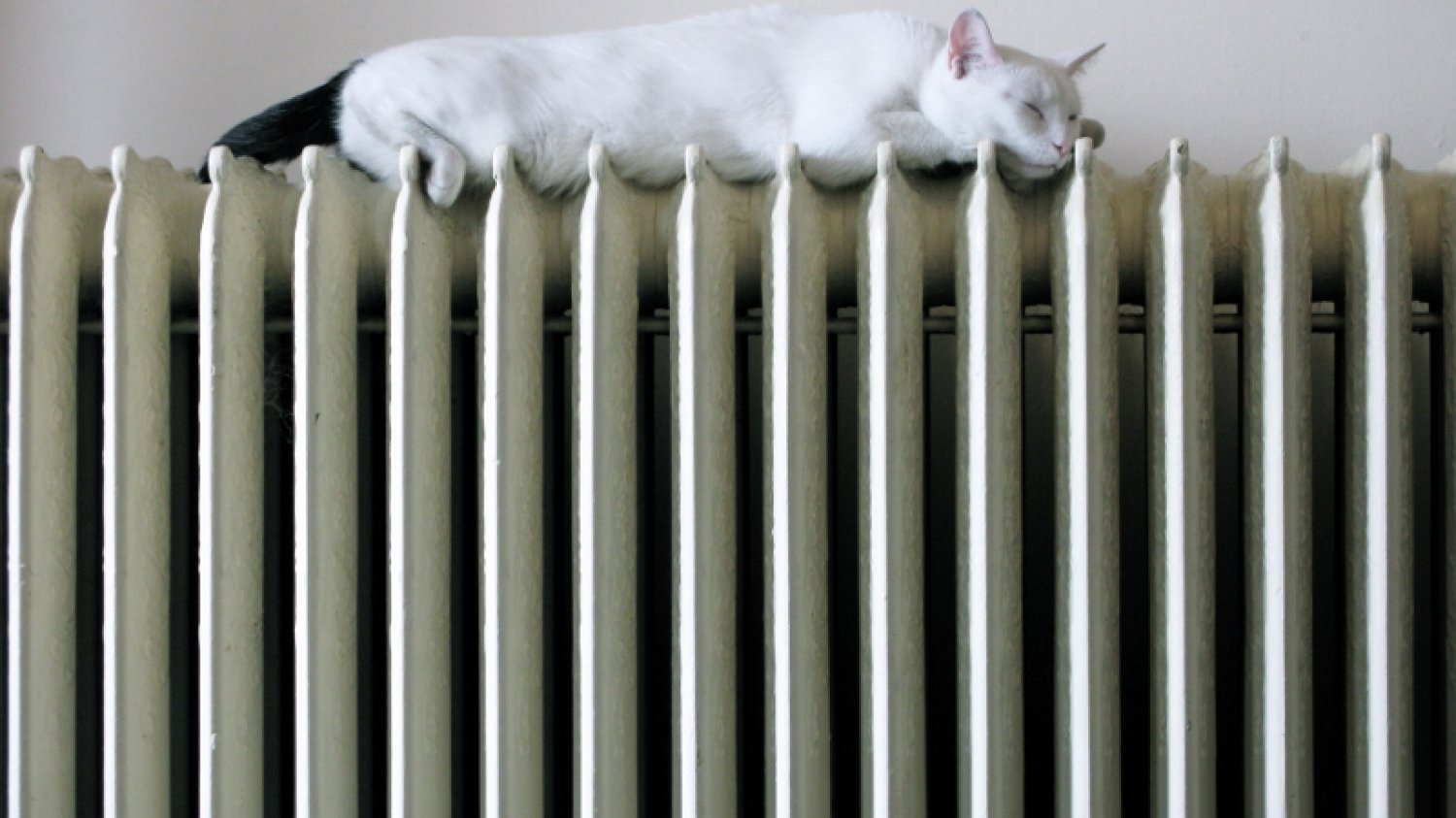 Naukowcy z Polski pracują nad innowacyjnym regulatorem ciepła w budynkach. Zwiększy oszczędność energii nawet o 30 proc.
