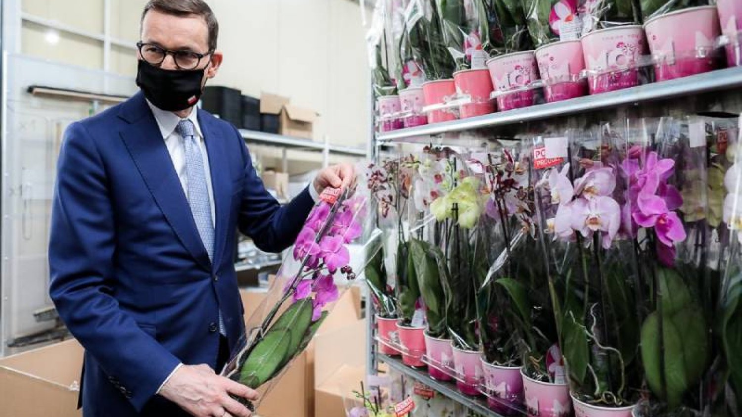 Nowy Ład ma być kwiatem wręczonym polskiemu społeczeństwu. Okazuje się, że nie ma róży bez kolców.