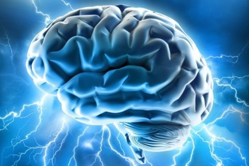 Przeprowadzając pierwsze w historii badania całego mózgu, w których wzięło udział ponad 1000 osób, naukowcy odkryli, że tzw. płeć mózgu to pojęcie niemające podstaw naukowych