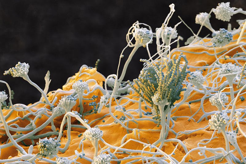 Instytut Chemii Fizycznej PAN w Warszawie i Instytut Uprawy Nawożenia i Gleboznawstwa PIB w Puławach zostały laureatami programu UE.