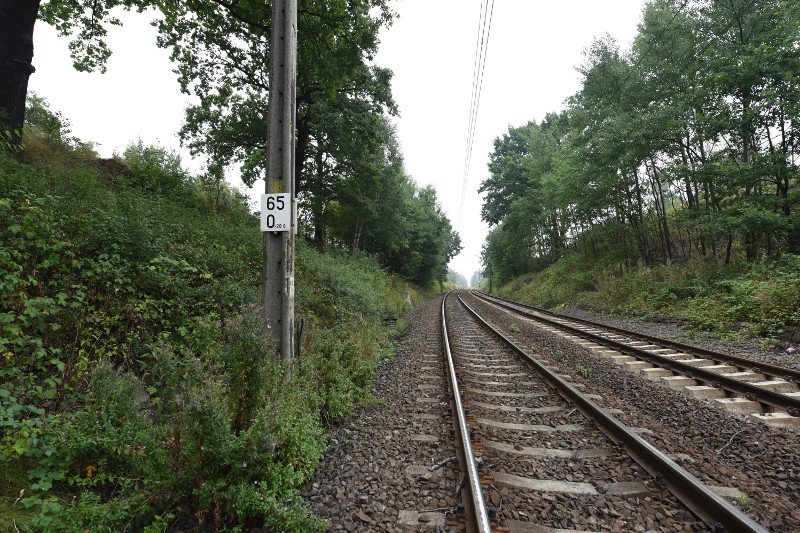 Jedno z miejsc w Wałbrzychu, gdzie miał być ukryty złoty pociąg.