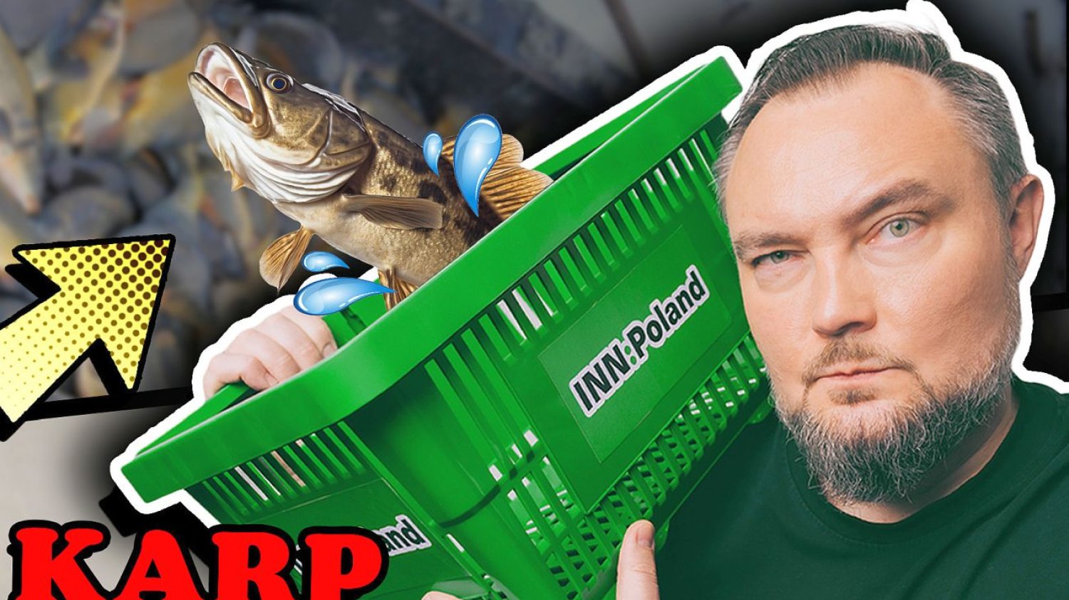 Jak kupić dobrego karpia?