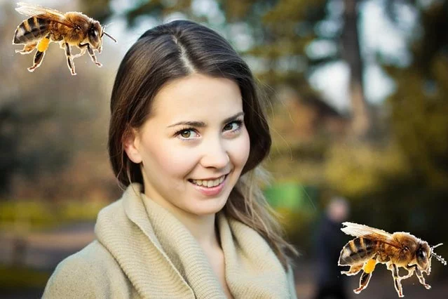 Joanna Bagniewska opracowała metodę szkolenia pszczół do wykrywania materiałów wybuchowych i narkotyków
