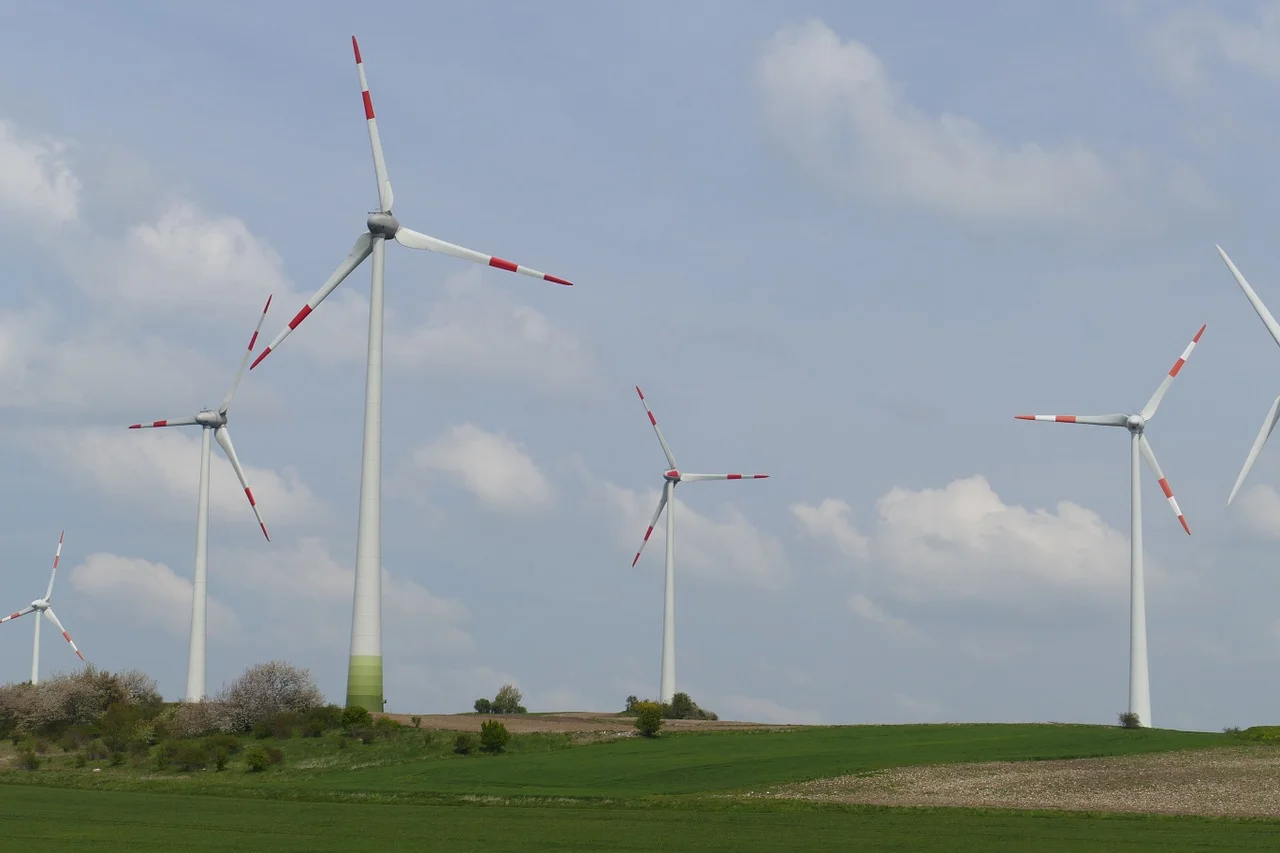 W ubiegłym roku elektrownie wiatrowe w Danii wypracowały 120 proc. zapotrzebowania tego kraju w energię elektryczną