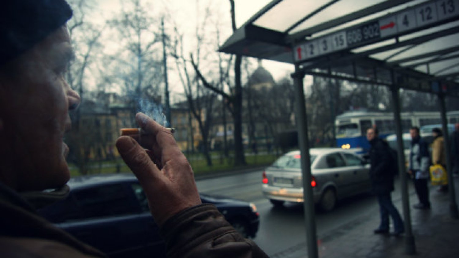 Przedstawiciele Krajowego Związku Plantatorów Tytoniu obawiają się, że w przyszłości Polskę zaleje tani tytoń spoza Europy np. Chin albo Brazylii, co przełoży się na wzrost szarej strefy