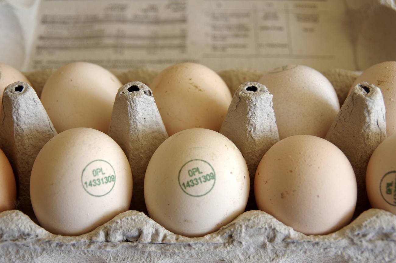 Jajka w sklepie.