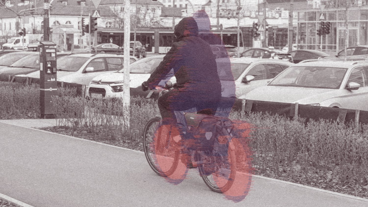 Rowerzysta.