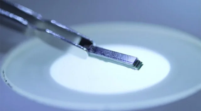 Implant ma 14 mm długości