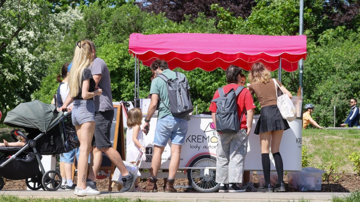 Jakie są ceny gałki lodów?