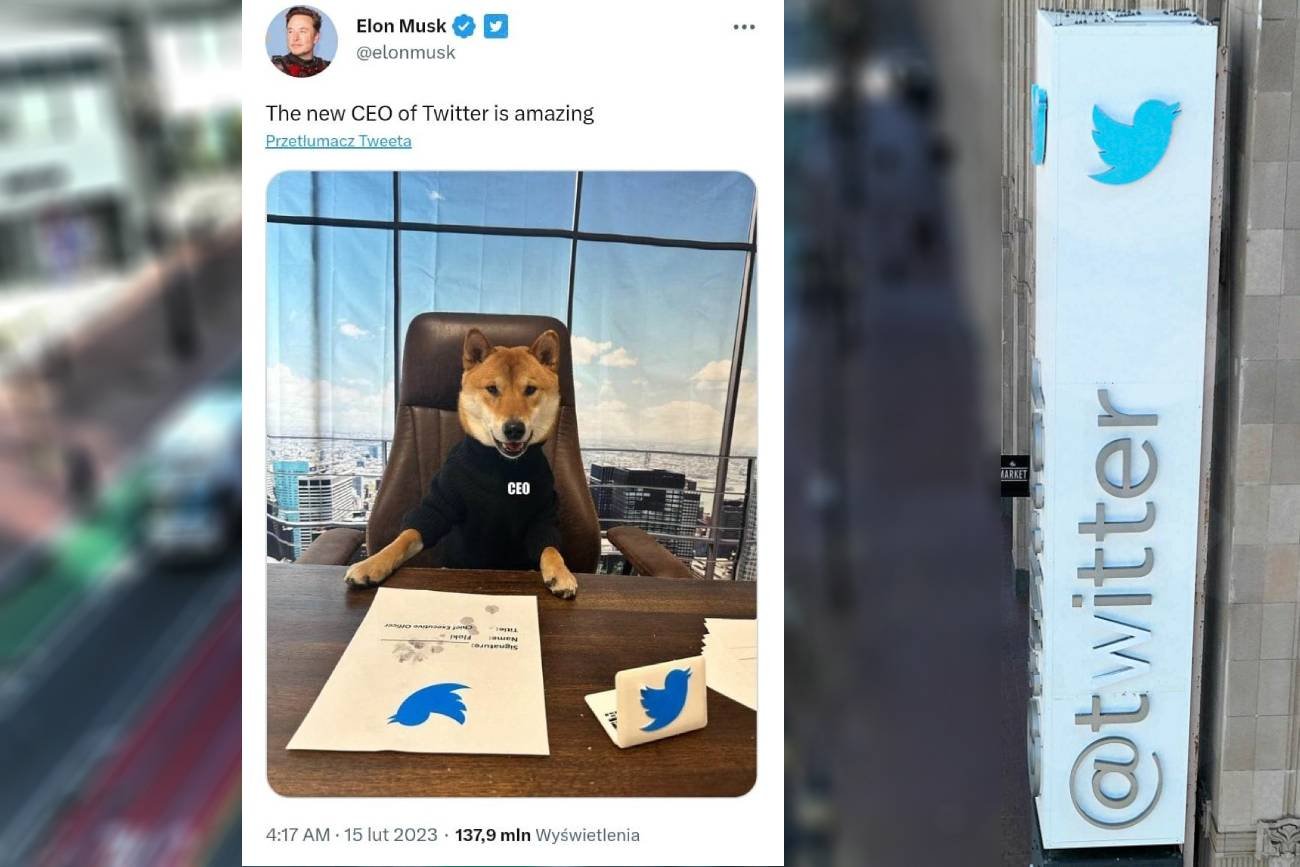 Twittera przejęła nowa firma