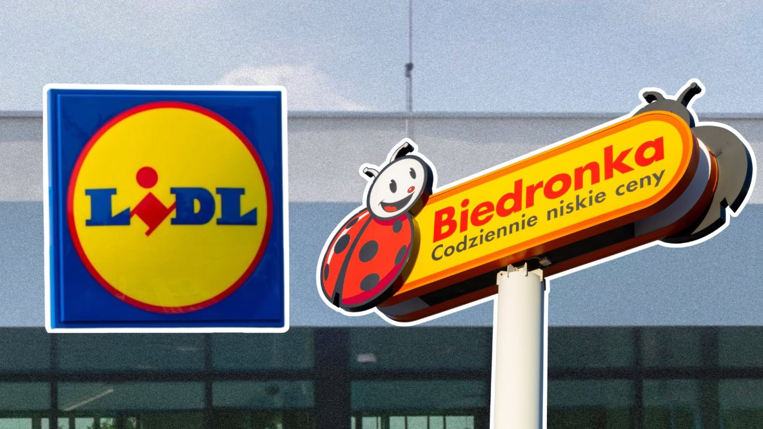 Lidl i Biedronka.