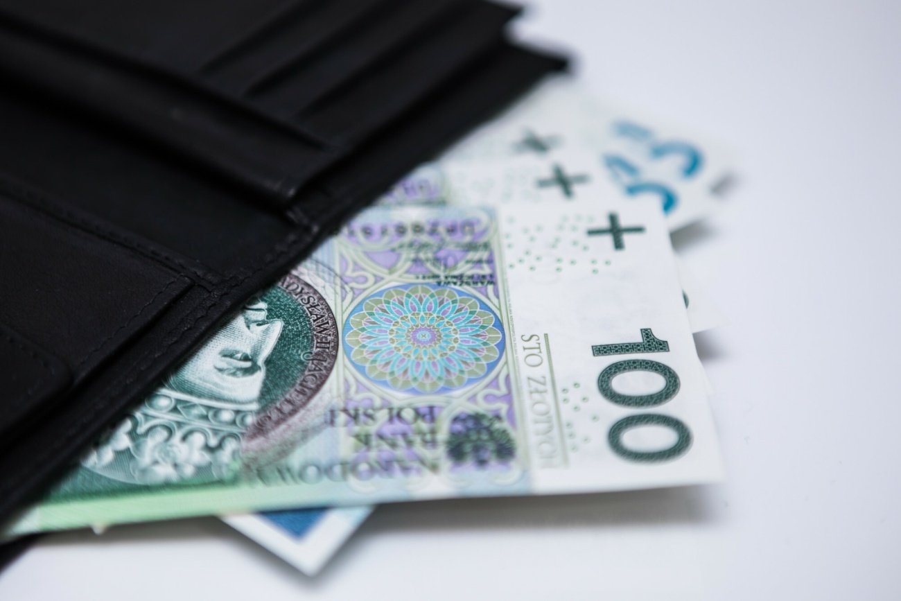 Portfel, banknoty polskie.