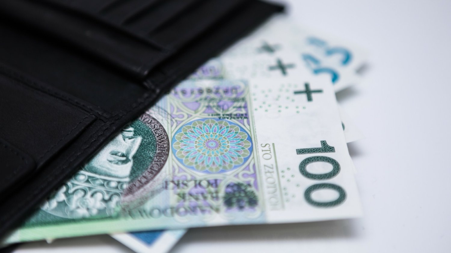 Portfel, banknoty polskie.