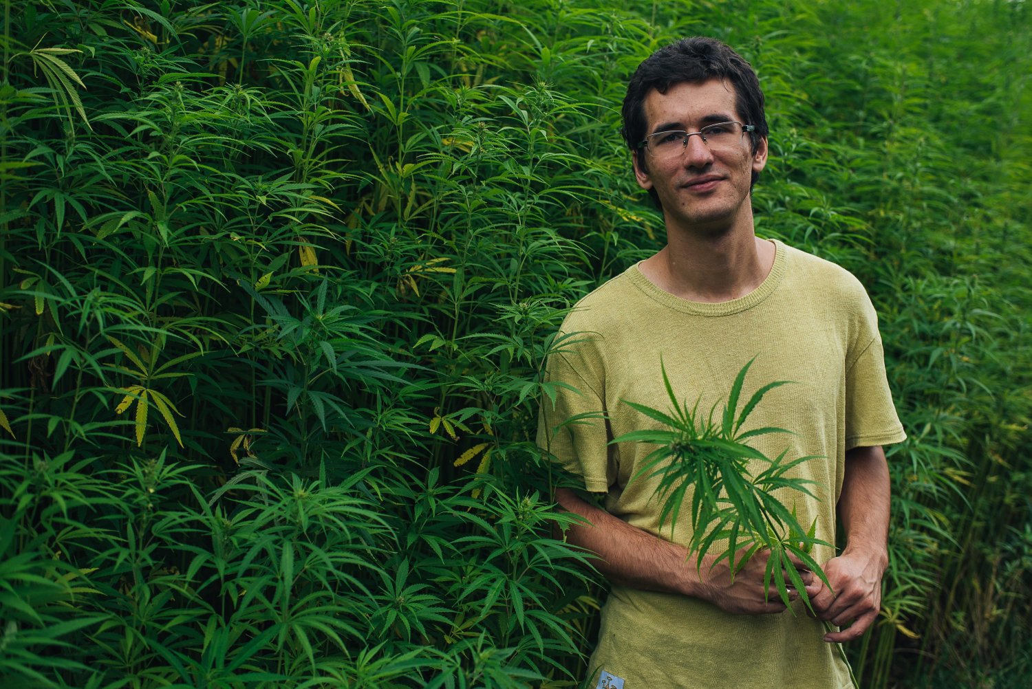 Maciej Kowalski, założyciel i prezes HemPoland