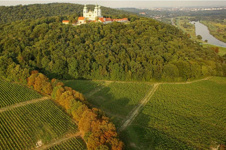 Winnica Srebrna Góra łącznie liczy 24 ha, położona jest u stóp klasztoru O.O. Kamedułów na Bielanach