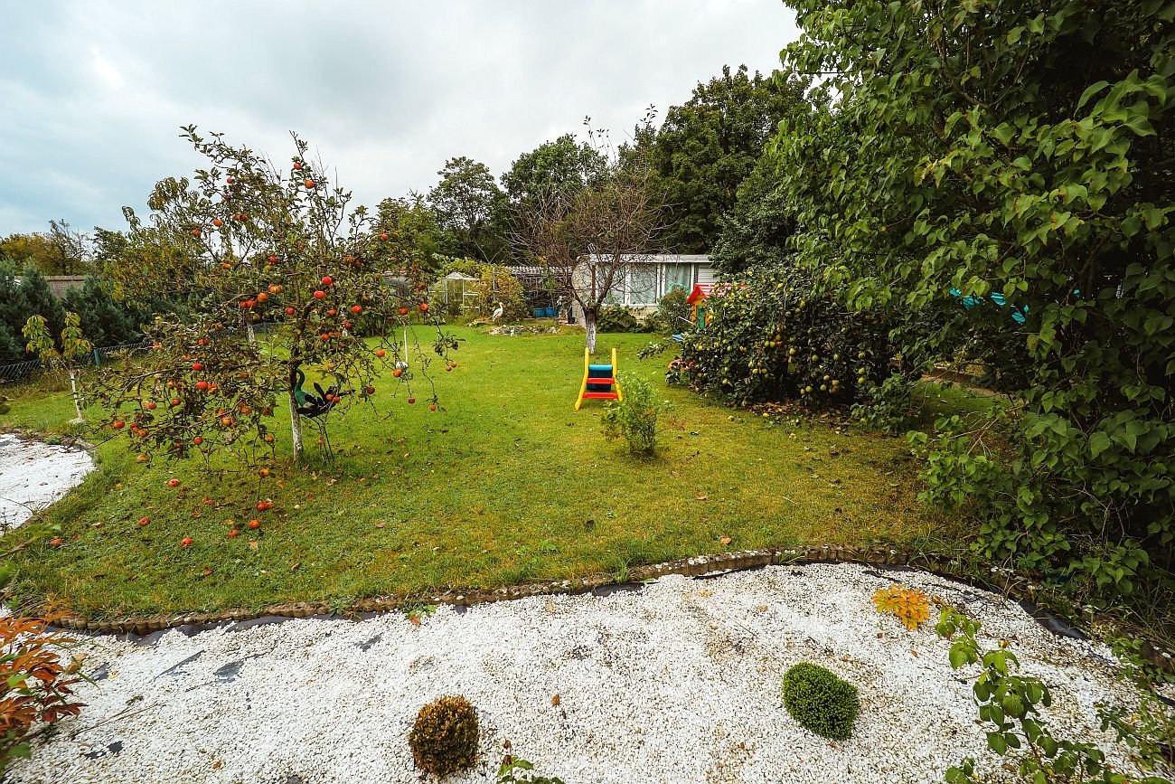 Ogródki działkowe, tzw. ROD: jak nabyć działkę, ile kosztuje i jakie są zasady korzystania?