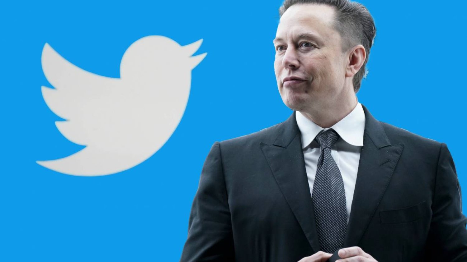 Elon Musk, logo Twittera