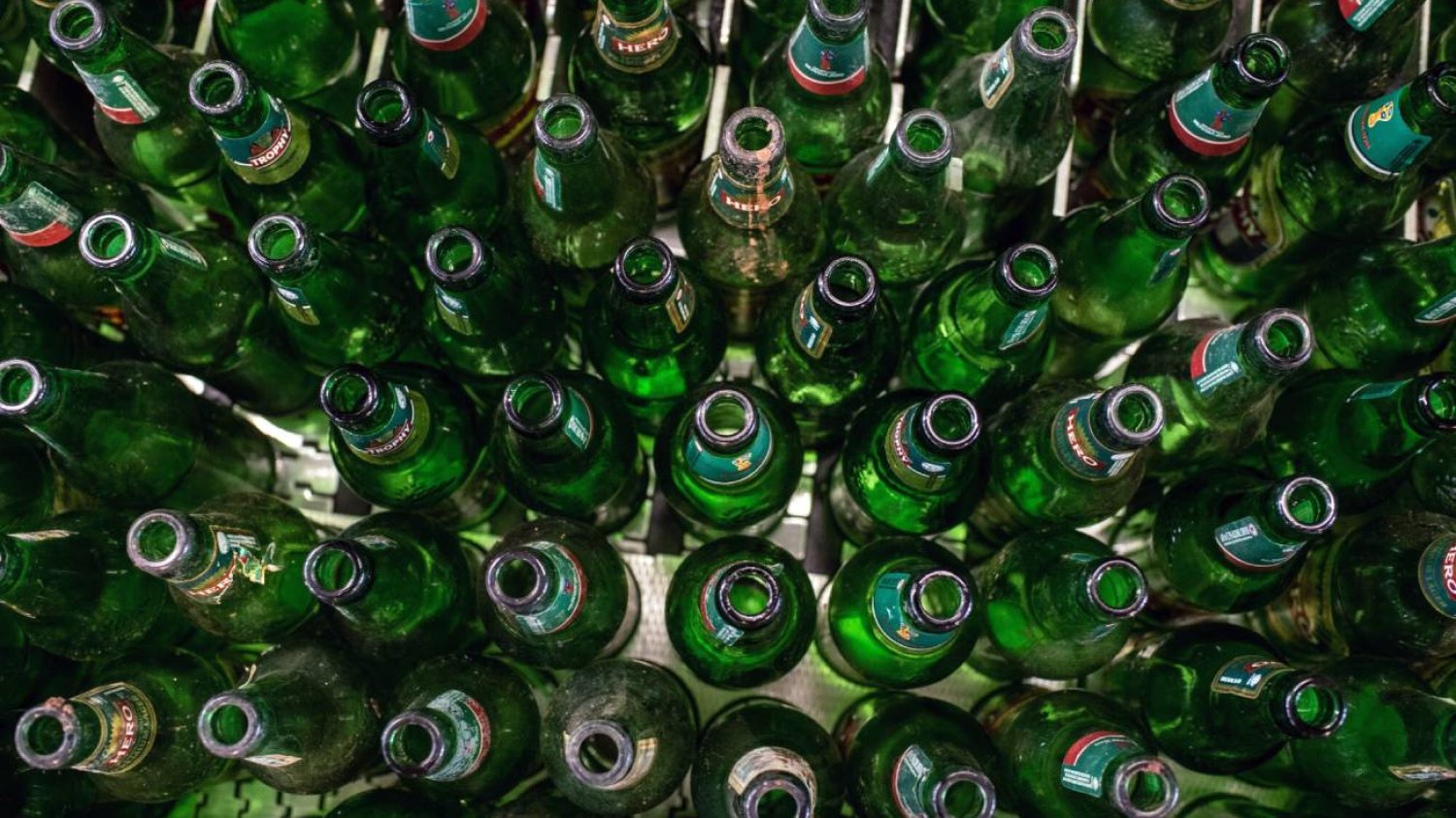 Puste butelki po piwie do recyklingu