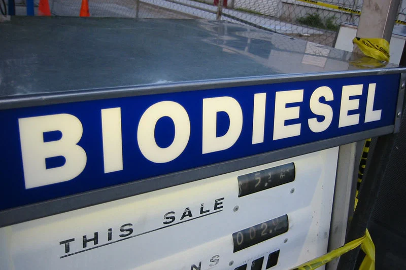 Technologia produkcji biodiesla z Poznania ma być nie tylko ekologiczna, ale opłacalna finansowo.