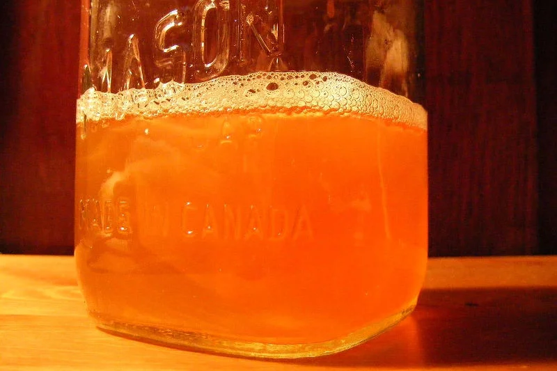 Proces fermentacji kombuczy.