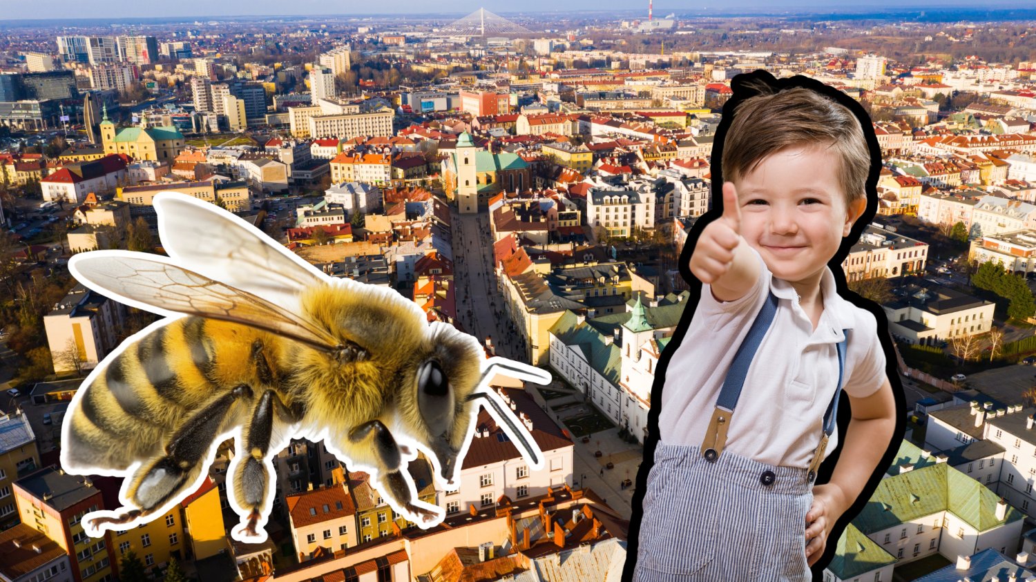 Pszczoły zacierają odnóża, a przedszkolaki ręce. Podkarpacie kładzie na stół 36 mln zł Przedszkolak i pszczoła, w tle Rzeszów