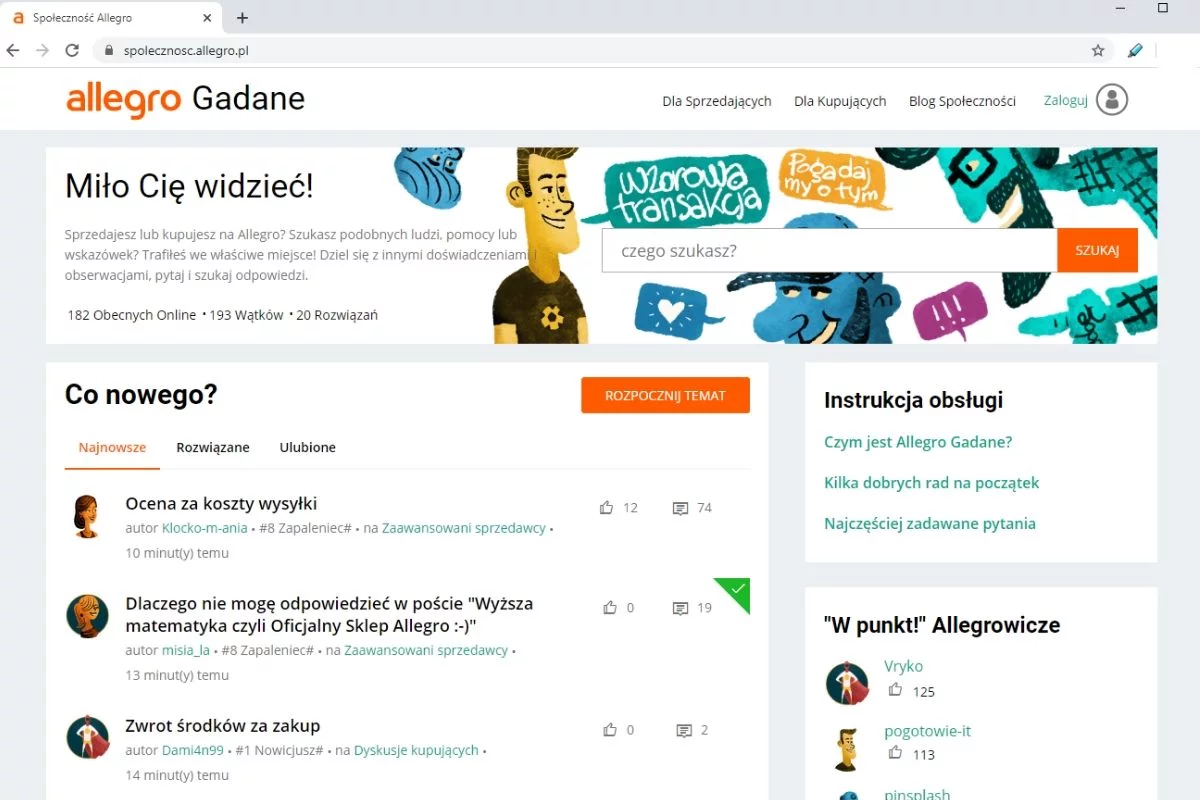 Allegro Gadane - tak serwis internetowy prezentuje się w akcji.