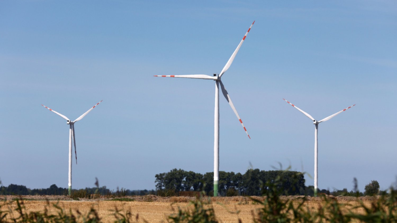 Elektrownia wiatrowa w Żelichowie