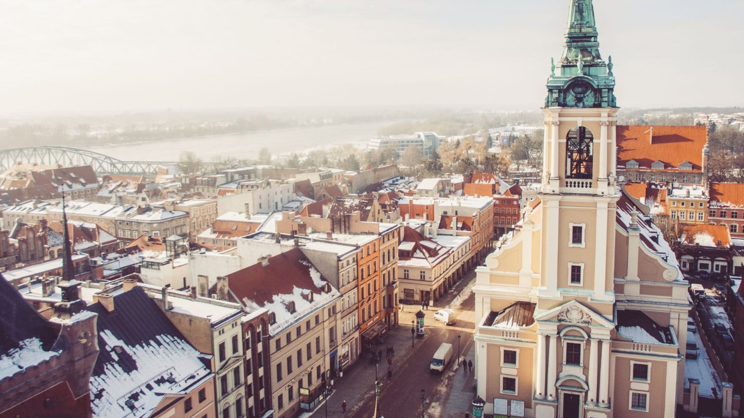 Nielegalna wycinka setek drzew w Toruniu. Skandal na obszarze chronionym Panorama Torunia. Doszło do nielegalnej wycinki drzew w mieście, na obszarze chronionym.