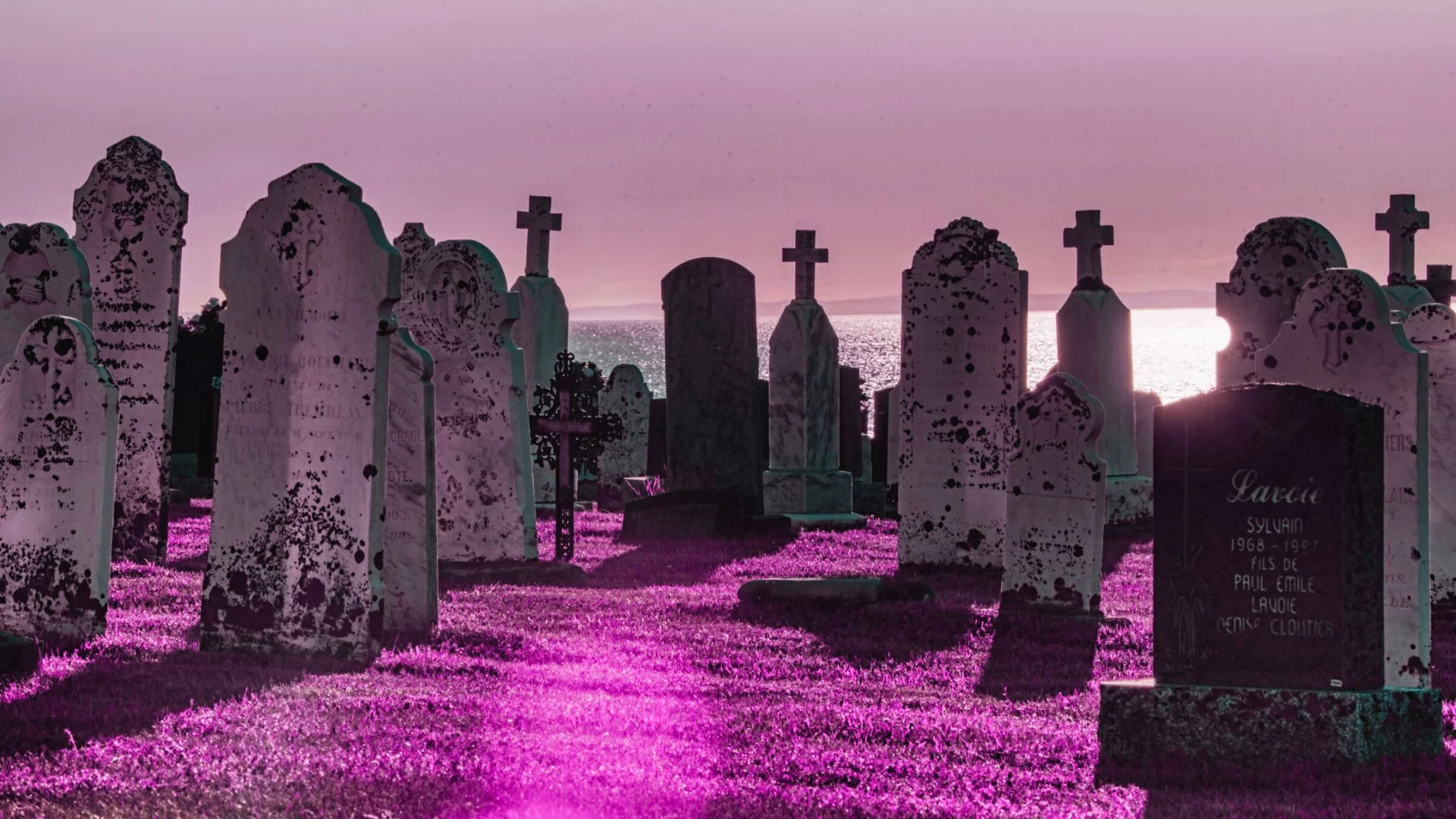 Jak znaleźć zmarłego na cmentarzu? Te wyszukiwarki pomogą znaleźć grób Zdjęcie cmentarza na tle nabrzeża.