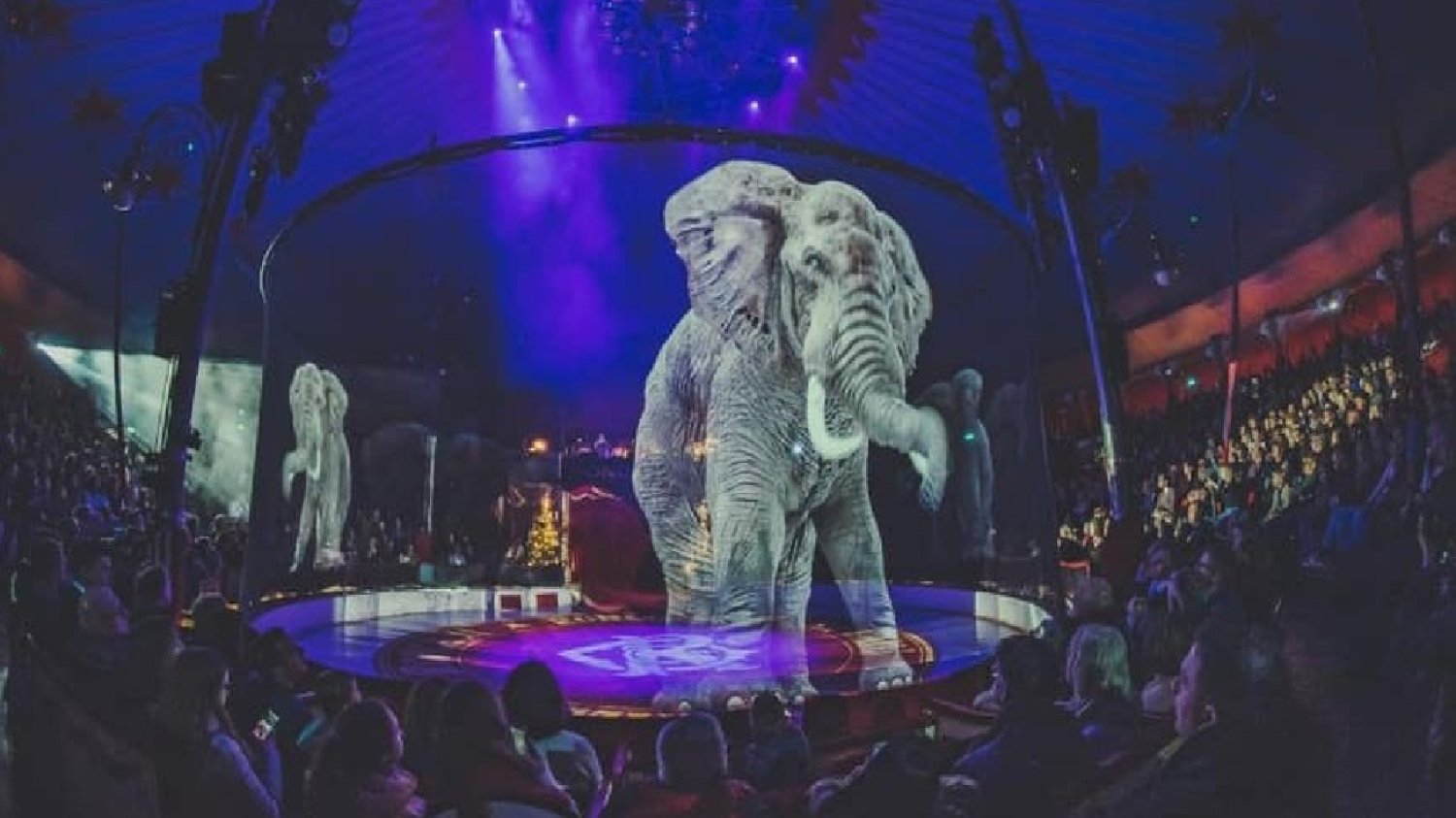 hologram słonia w cyrku na fioletowym tle