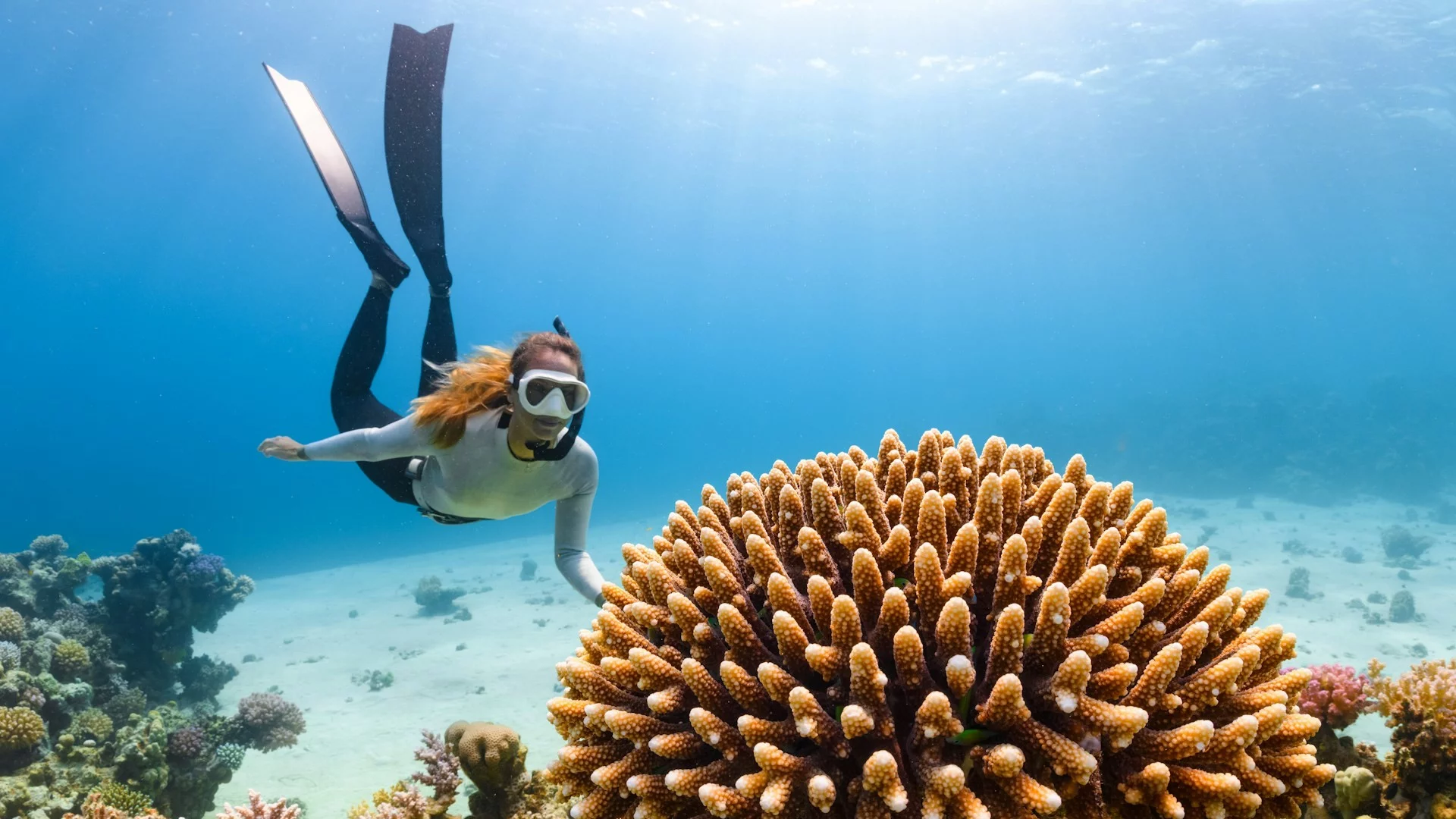 Oceany się przegrzewają. Los raf koralowych jest już przesądzony