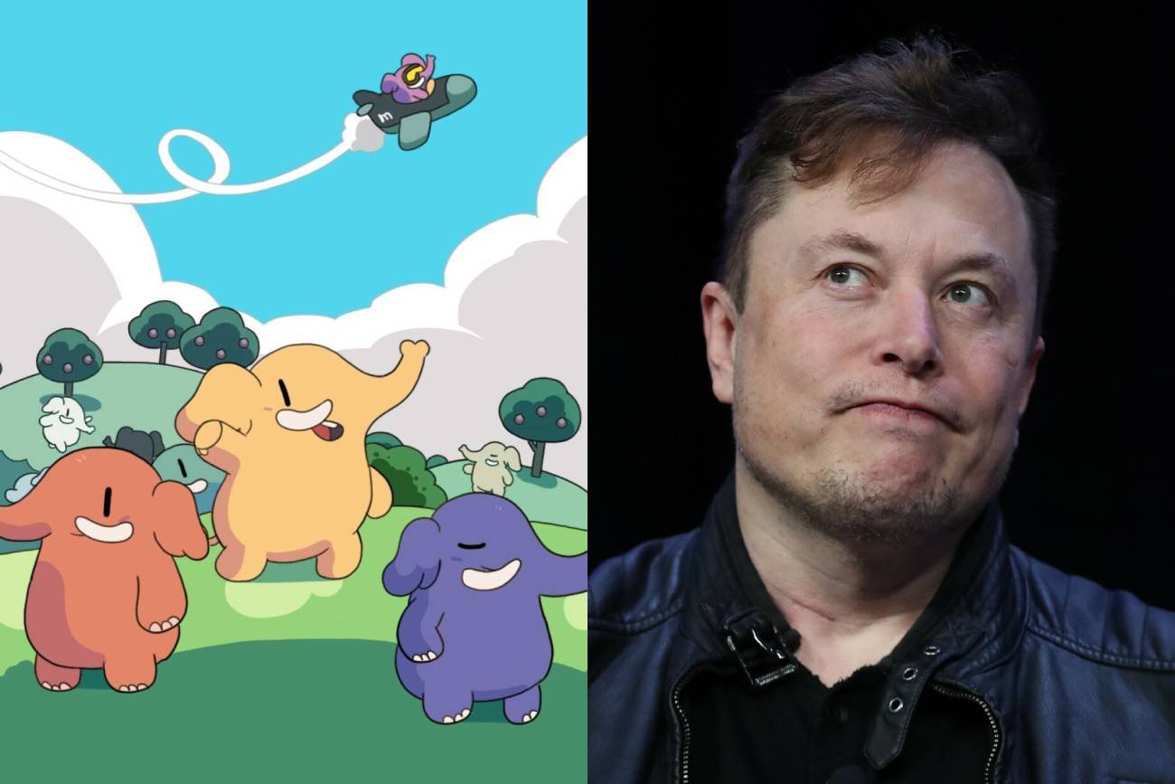 Fragment ekran powitalnego Mastodon i Elon Musk