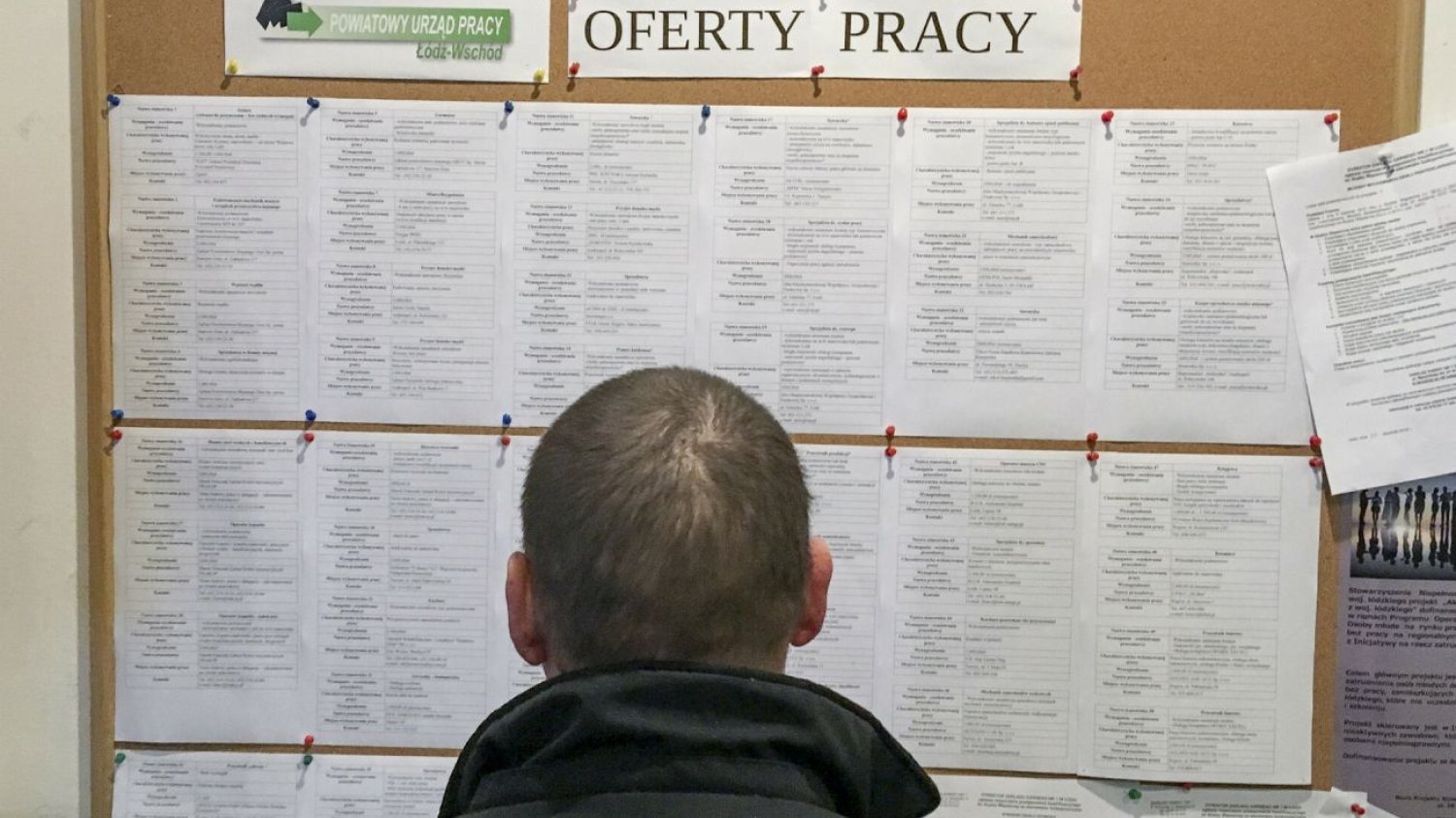 mężczyzna patrzy na tablicę z ofertami pracy