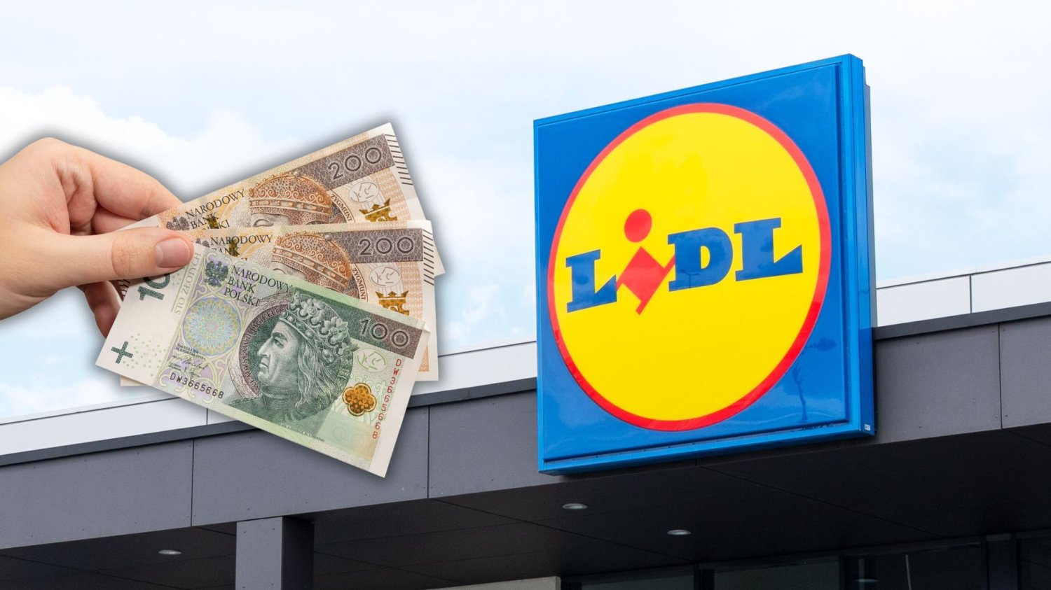 Lidl, plik banknotów.