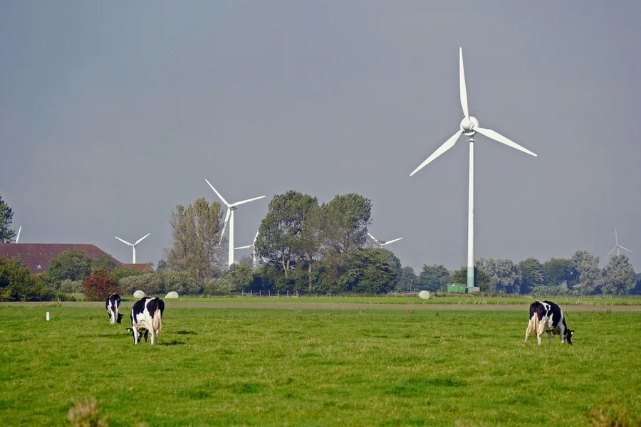 Jednym z kluczowych beneficjentów europejskich środków mogłaby być branża OZE - gdyby nie polityka rządu, która podcięła producentom alternatywnej energii skrzydła.