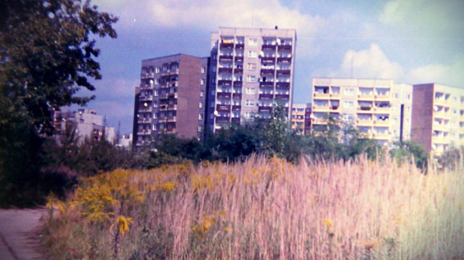 Rząd obiecuje tanie mieszkania, a nasi czytelnicy od razu pytają o lokalizację. Podejrzewają, że tanie grunty pod budowę będą raczej na dalekich przedmieściach