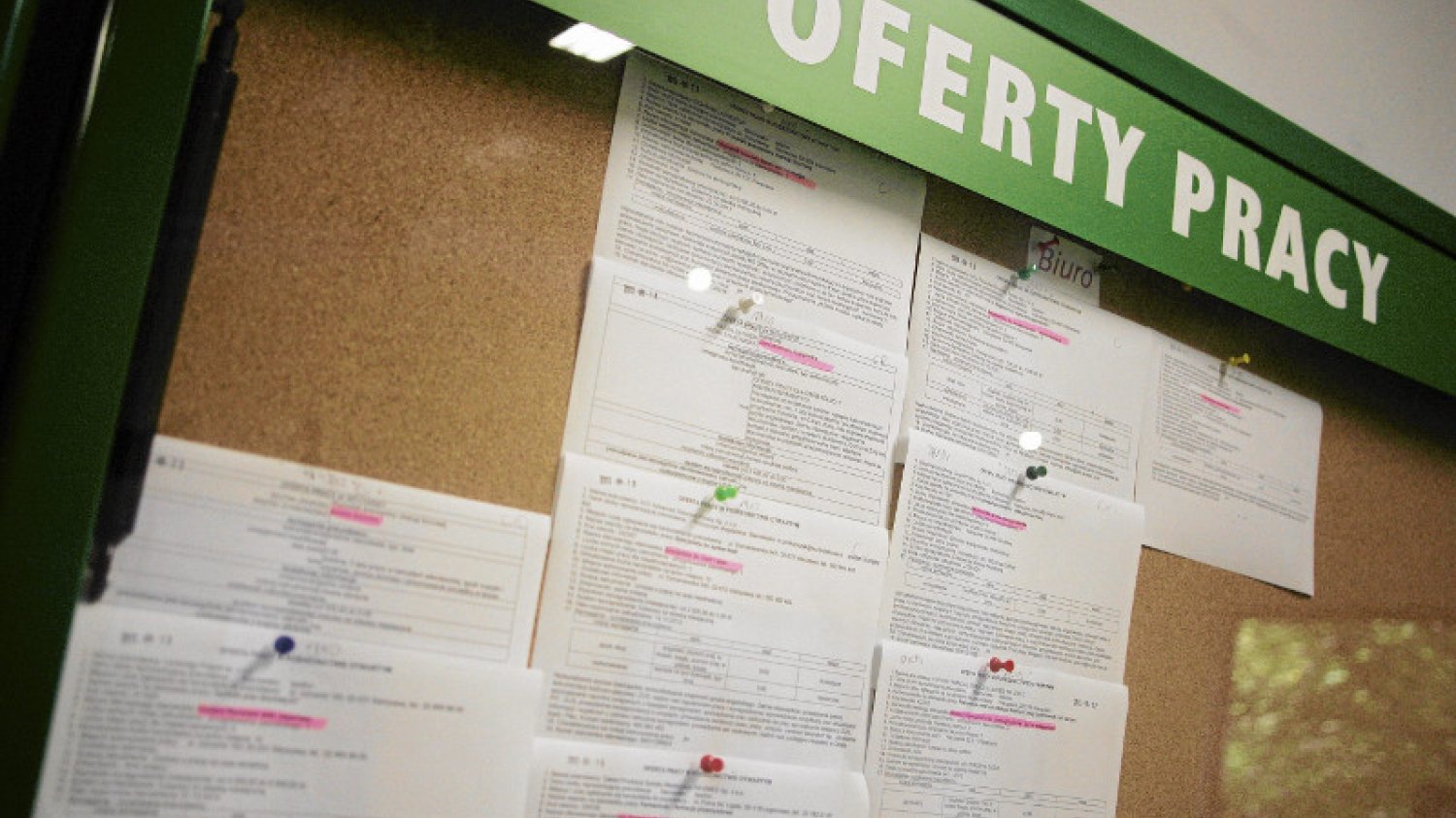 80 proc. pracodawców w Polsce ma problem z zatrudnieniem pracowników z odpowiednimi kwalifikacjami