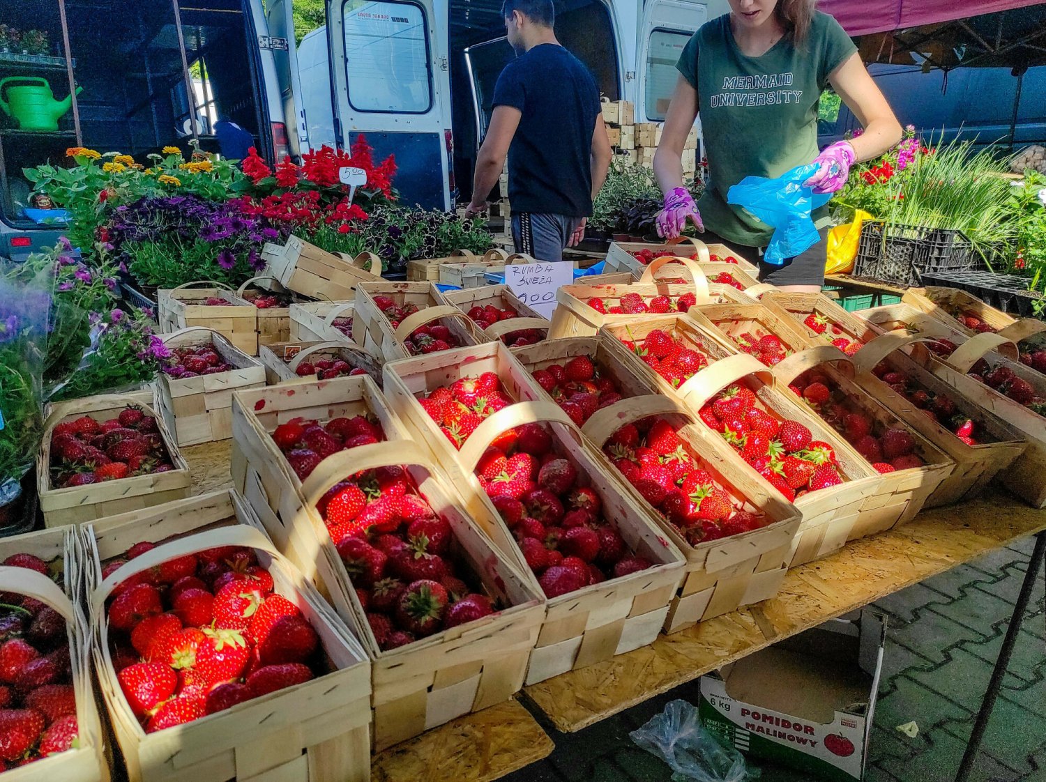 Spadły ceny truskawek.
