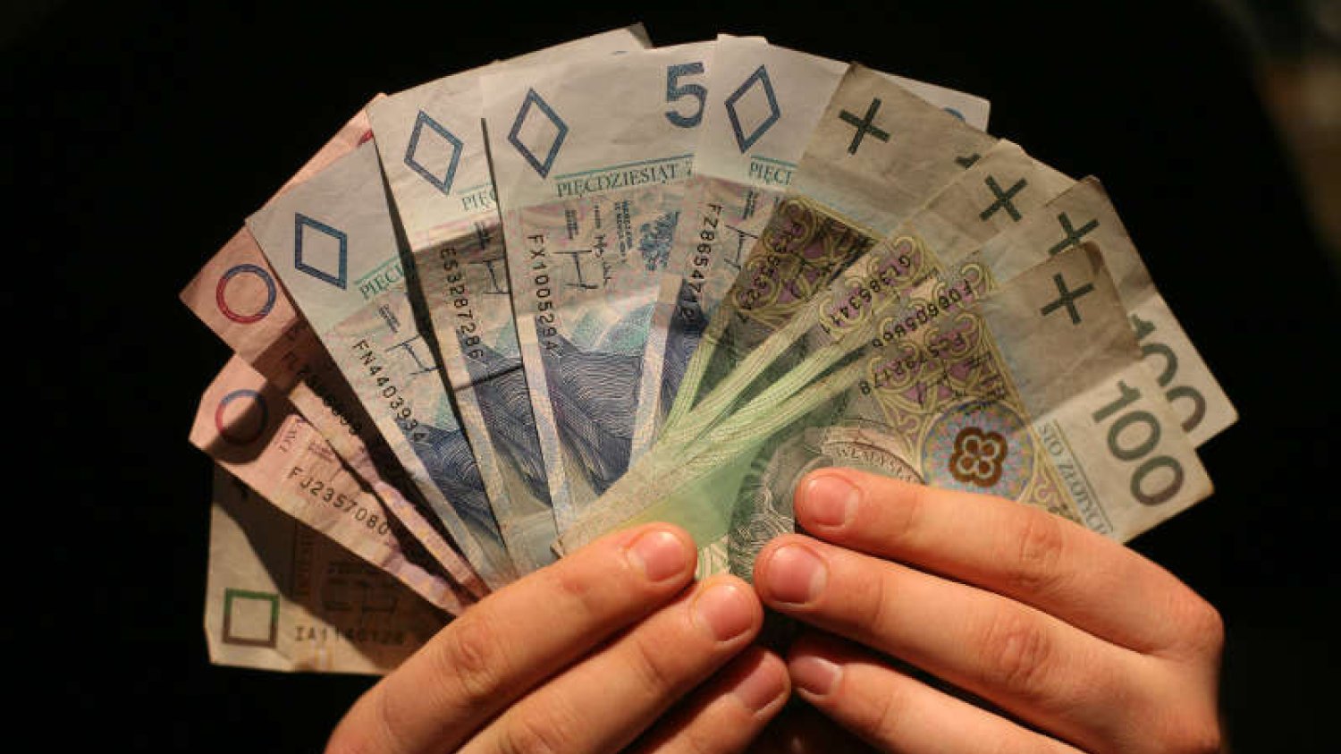 Zarobki w Polsce według Sedlak&Sedlak. Informatycy wciąż zarabiają najwięcej, średnio 6 tysięcy złotych brutto