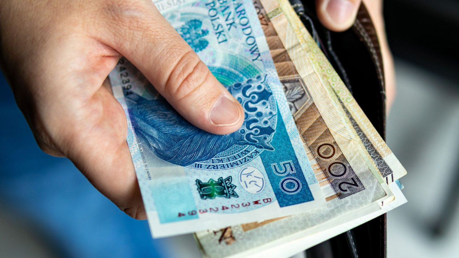Stopa oszczędności Polaków najwyższa od lat. Budzimy się z finansowego letargu. Plik bnknotów w portfelu.