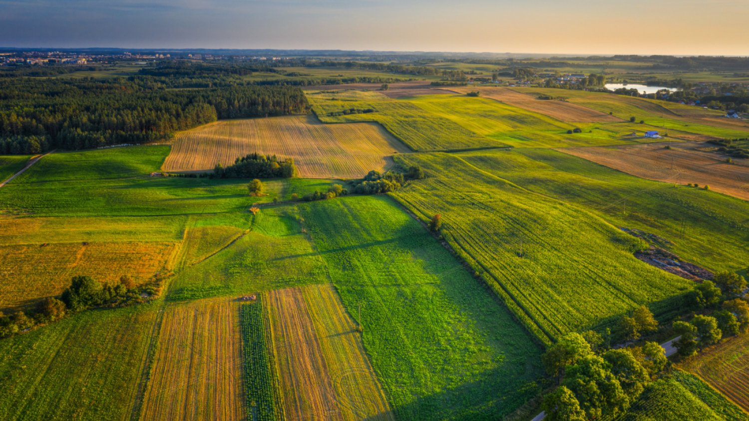 widok z lotu ptaka krajobrazu rolniczego kraju, Mazury, Polska