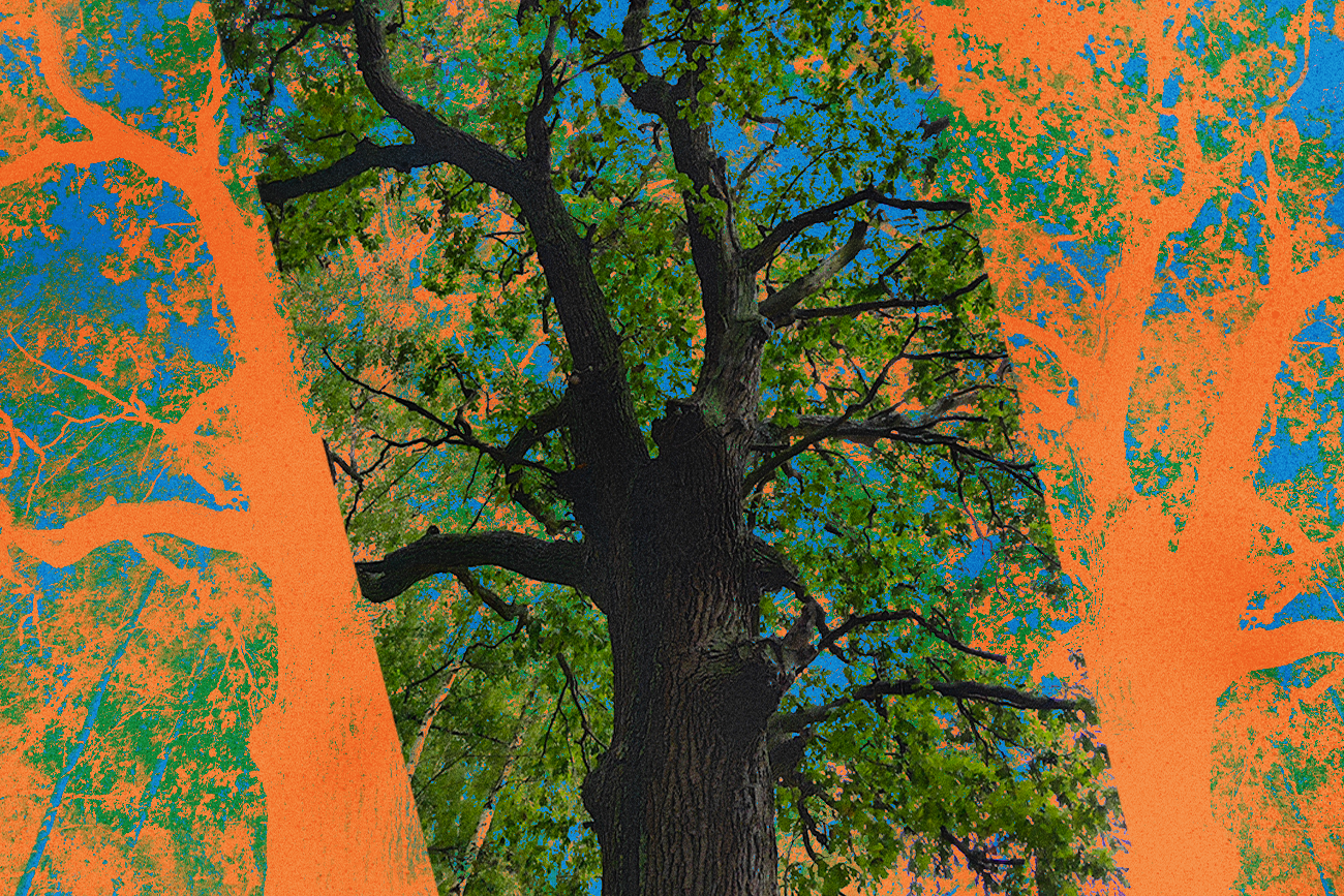 Ostatni krzyk Helu. "To będzie miasto – widmo"